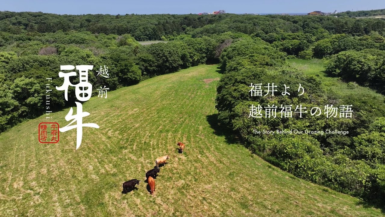 販売促進ツール・カタログ・撮影企画/PR動画制作｜FOOD＆DESIGN w/ Amond