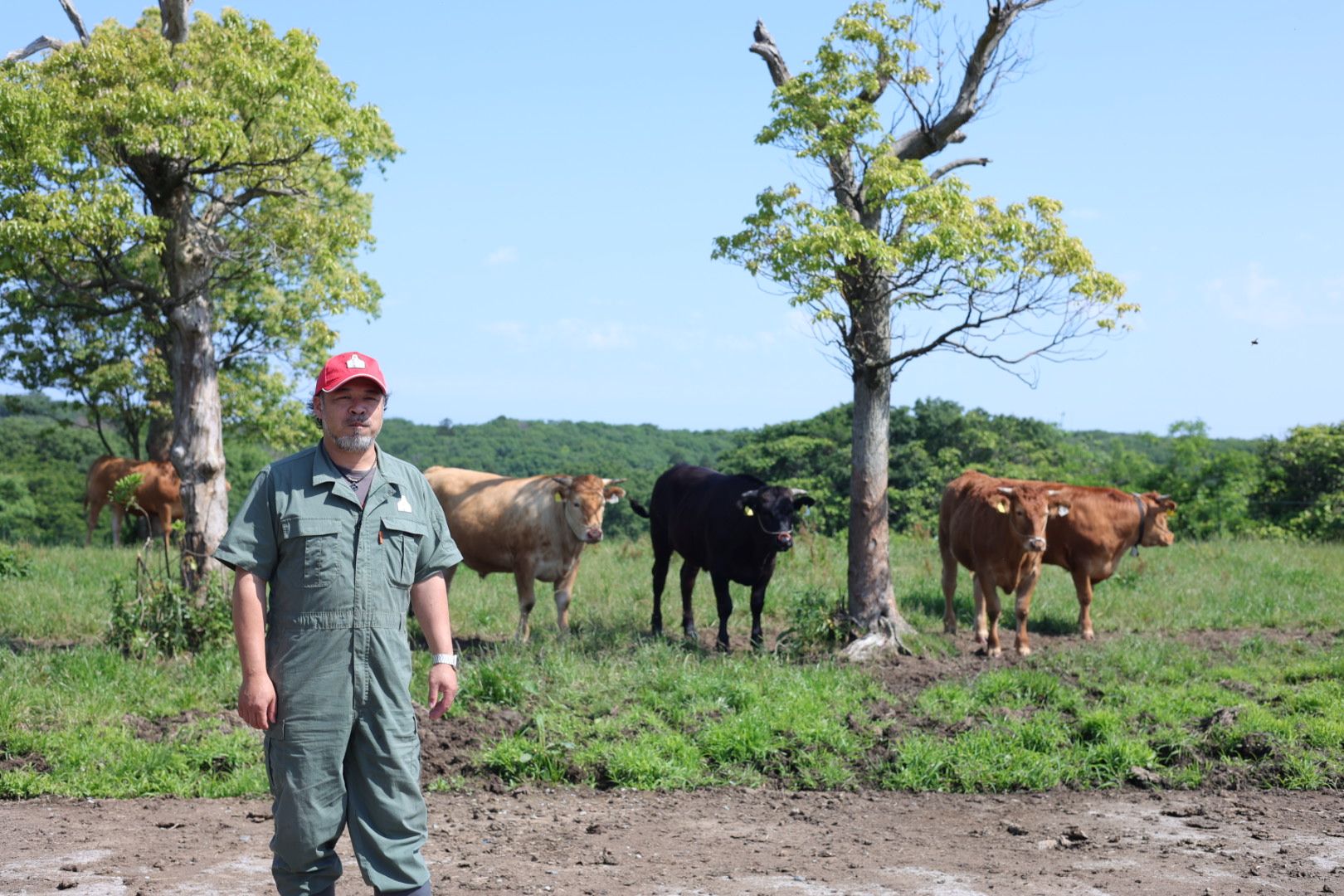 越前福牛｜Food & Design