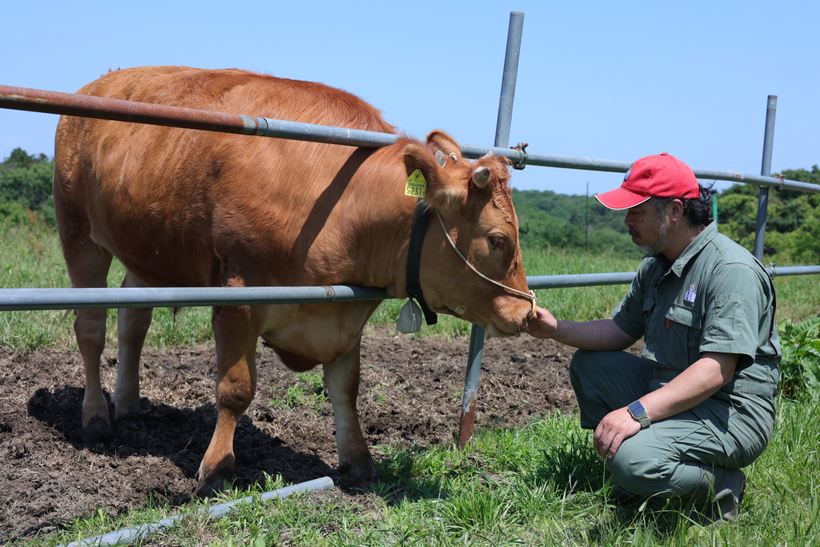 越前福牛｜Food & Design